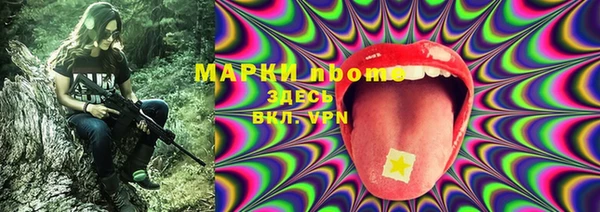 ГАЛЛЮЦИНОГЕННЫЕ ГРИБЫ Балабаново