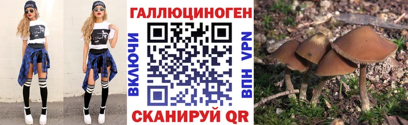 Псилоцибиновые грибы Psilocybine cubensis  Новоульяновск 